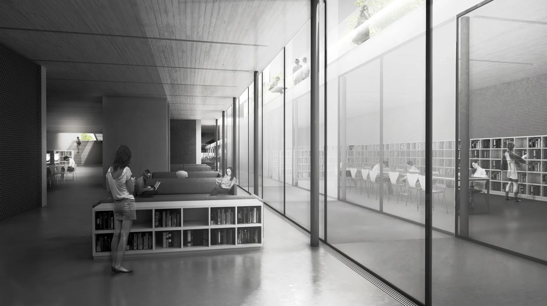 Biblioteca publica a Lausanne. Nitidus