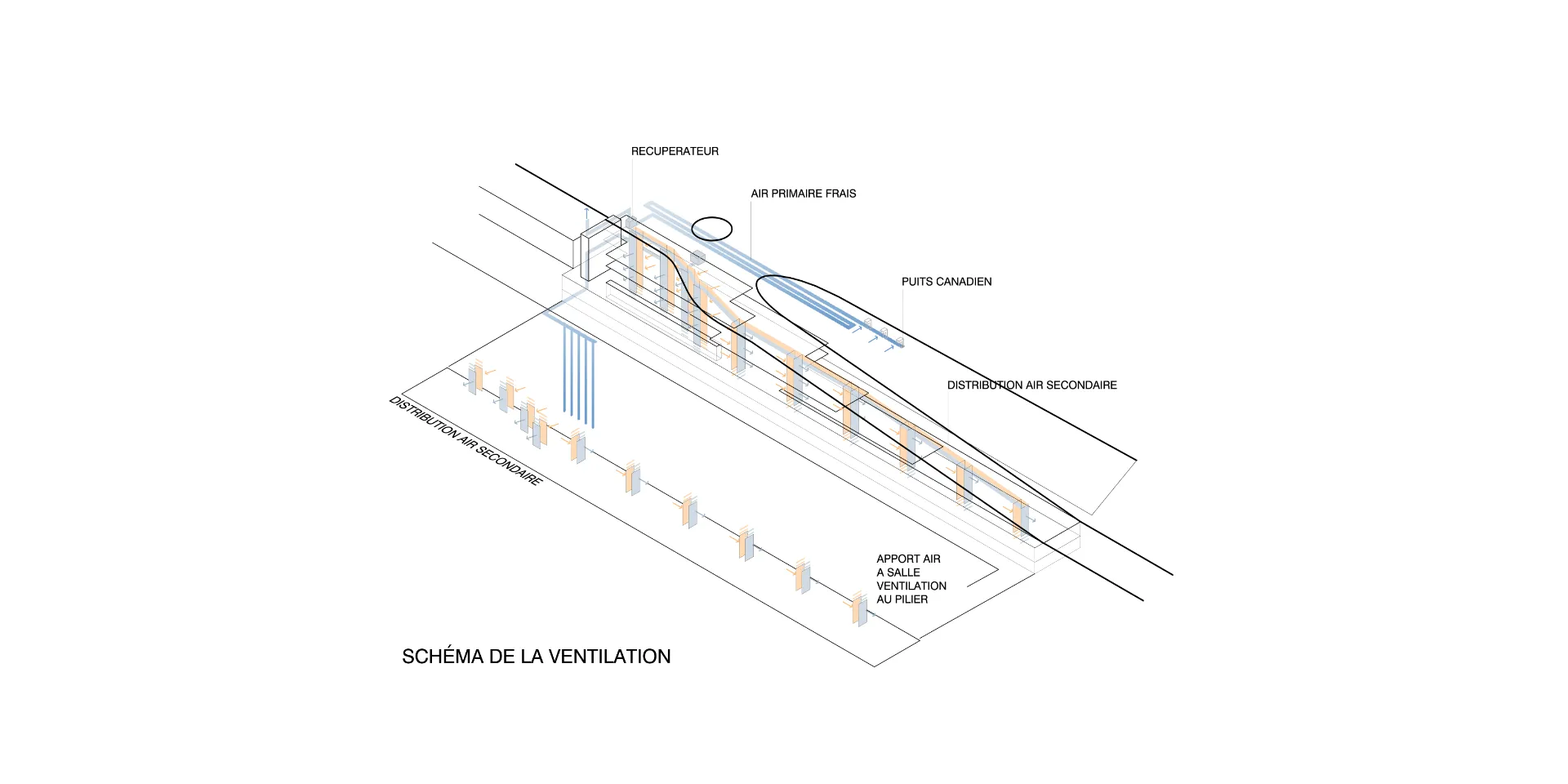 Biblioteca publica a Lausanne. Nitidus