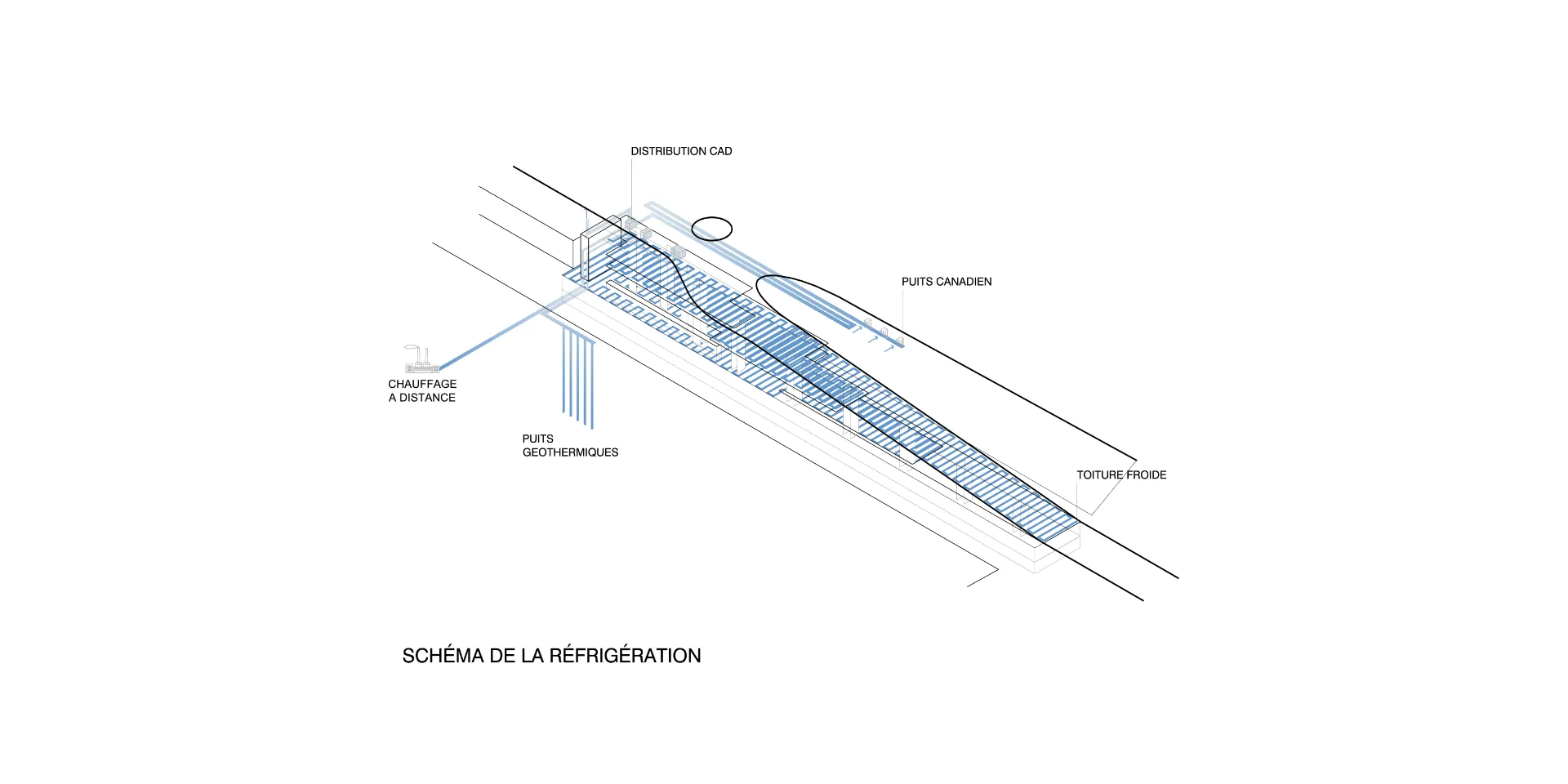 Biblioteca publica a Lausanne. Nitidus