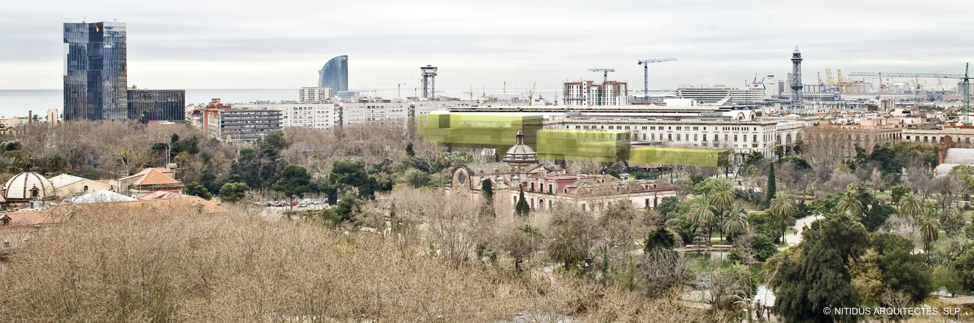 Biblioteca pública le l'Estat a Barcelona. Nitidus