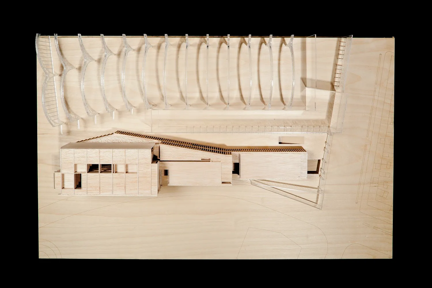 Biblioteca pública le l'Estat a Barcelona. Nitidus