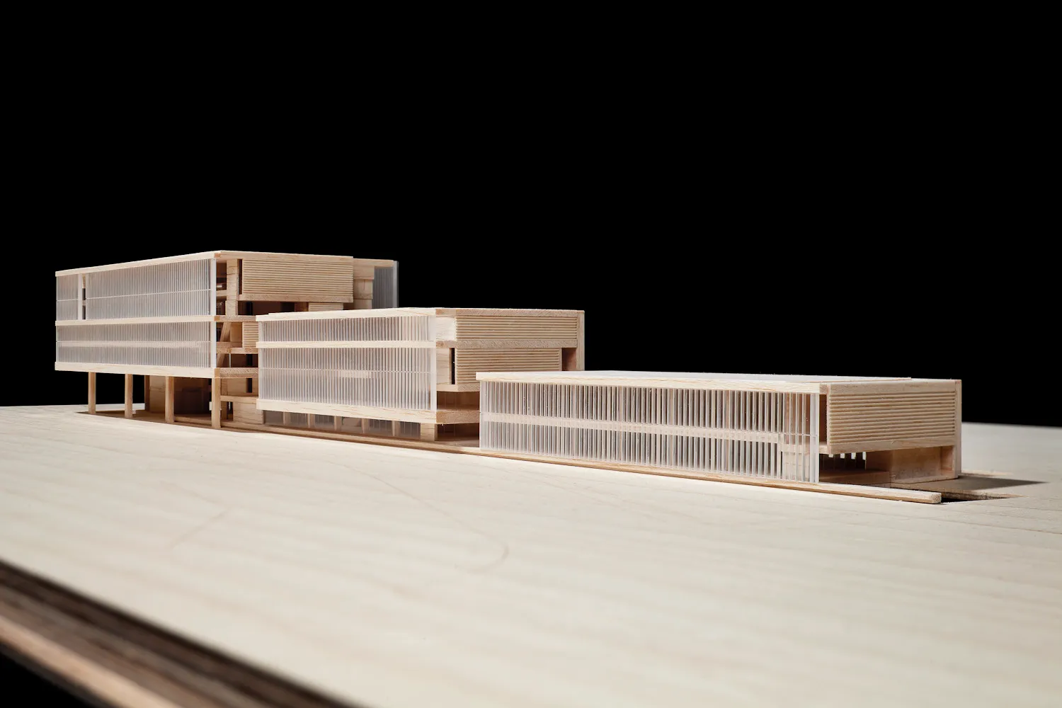 Biblioteca pública le l'Estat a Barcelona. Nitidus