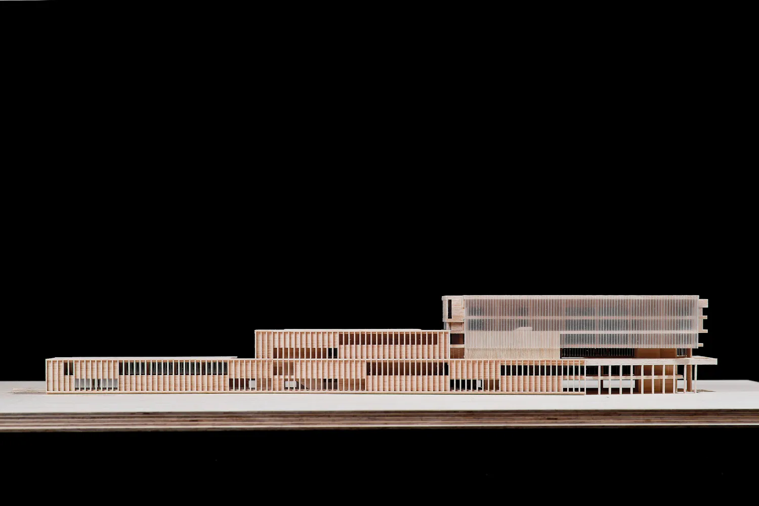 Biblioteca pública le l'Estat a Barcelona. Nitidus