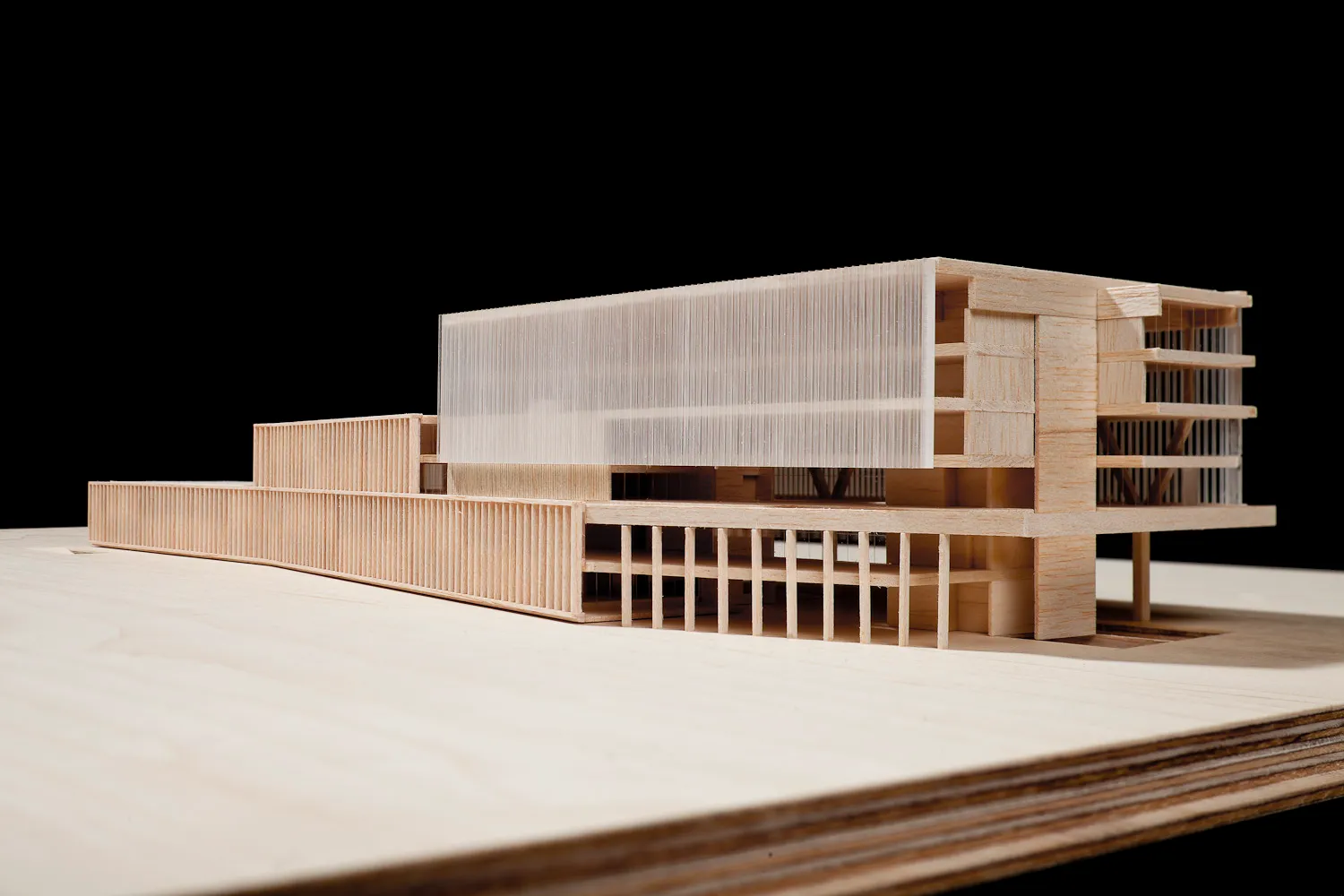 Biblioteca pública le l'Estat a Barcelona. Nitidus