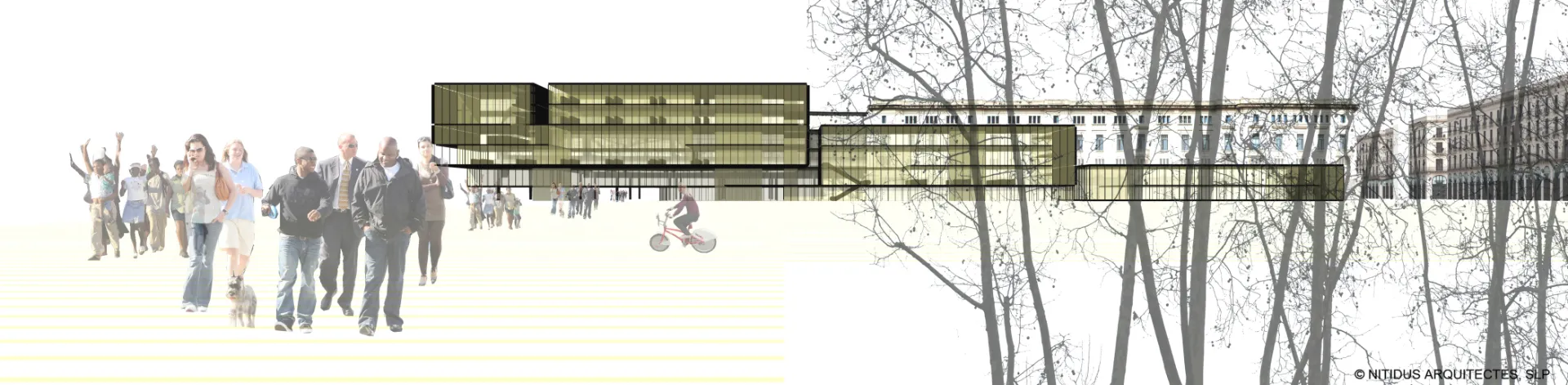 Biblioteca pública le l'Estat a Barcelona. Nitidus