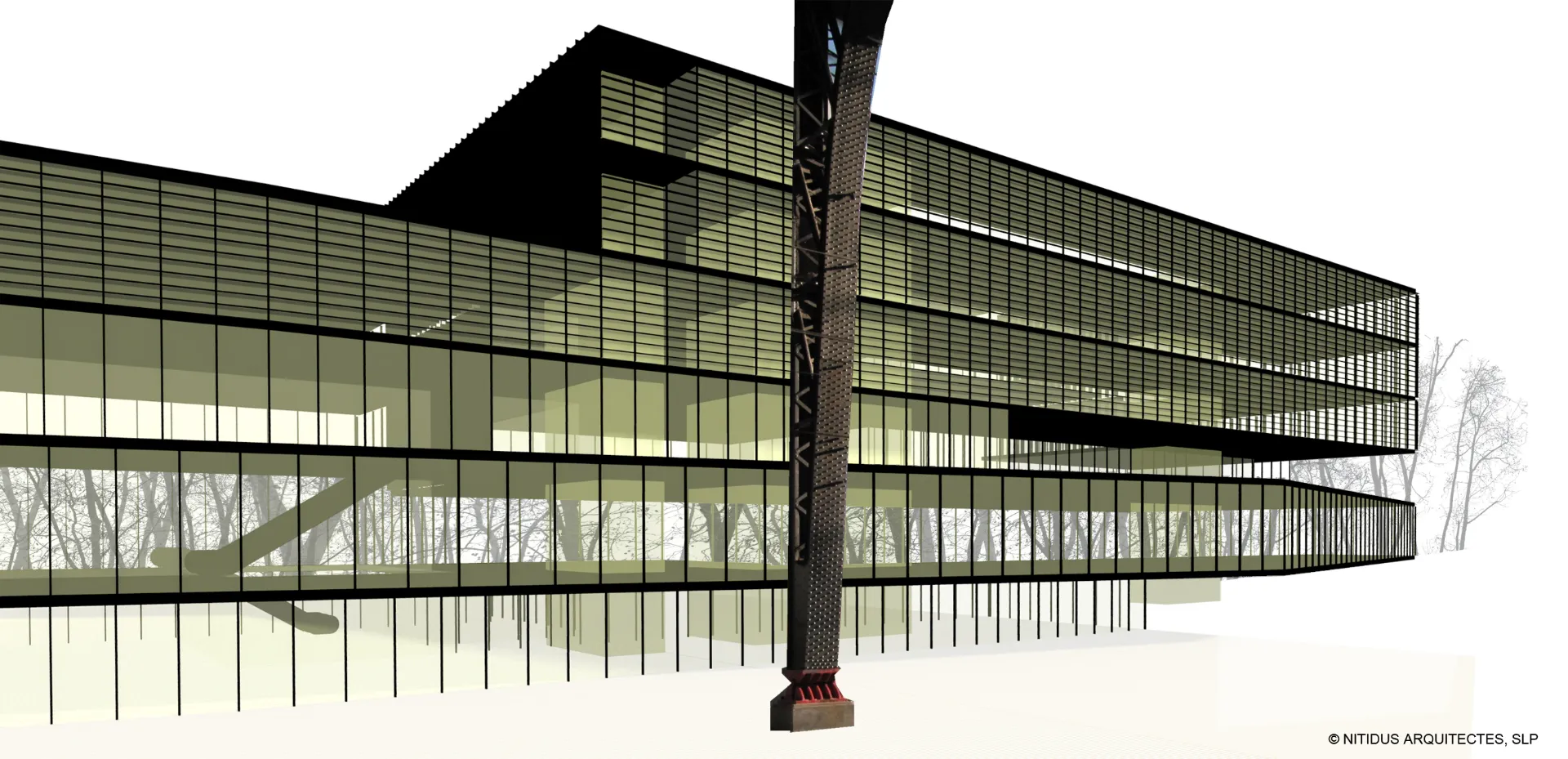 Biblioteca pública le l'Estat a Barcelona. Nitidus