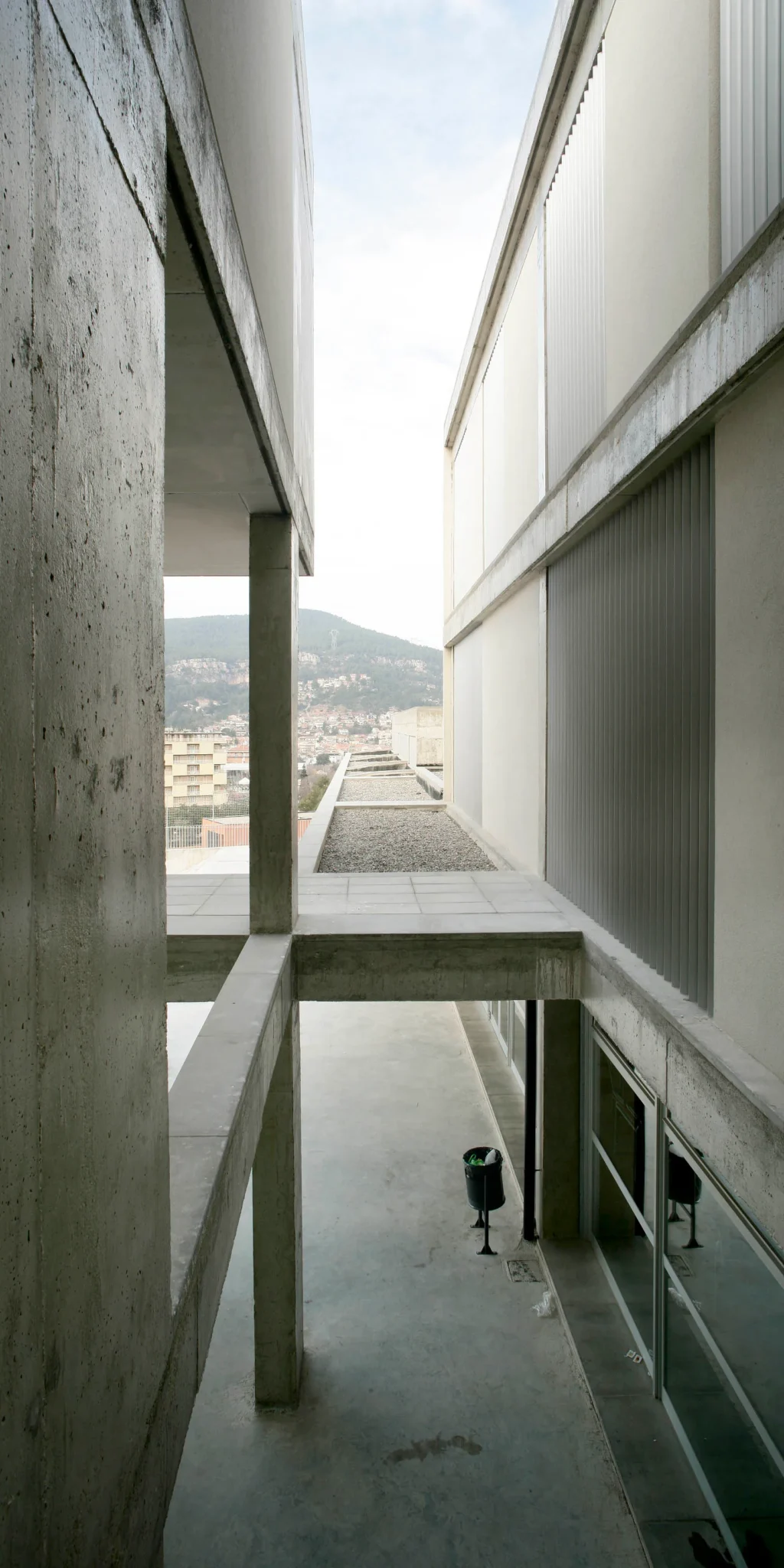 CEIP Vallirana. Nitidus